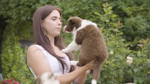 A young beautiful Caucasian woman plays with and is licked by cute puppies in a garden - closeup