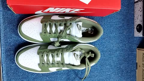 Dunk Low Medium Olive sneakers DD1503-120