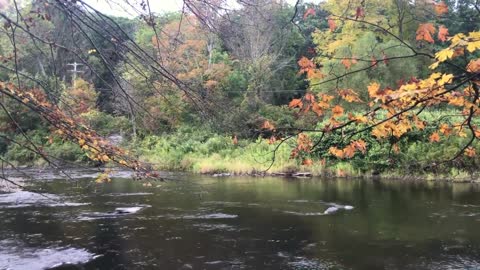 A view of a river