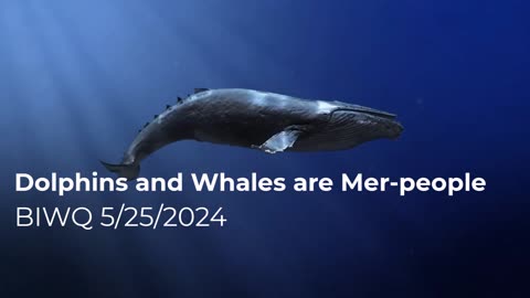 Dolphins and Whales are Merpeople 5/25/2024