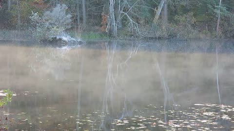 WATER SMOKE SPIT SPOT LAKE Mvi 2001