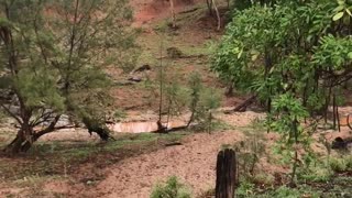 From Dry River Bed to Raging Torrent in Minutes