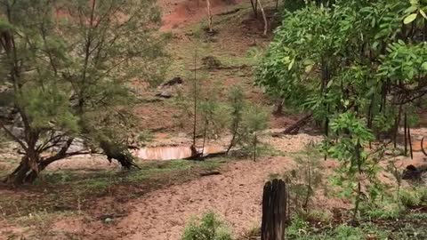 From Dry River Bed to Raging Torrent in Minutes