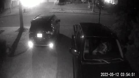 Sunnyside Crescent Car Thief II