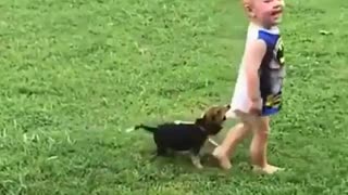 funny videos with animals and children