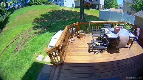 Police Chase Tears Through Backyard