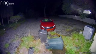 Bear Family Runs off with Garbage Can