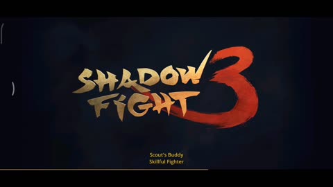 Shadow fight game