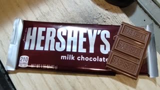 Eating Hersheys Milk Chocolate, Dbn, MI, 1/21/24
