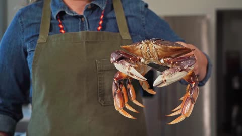 A Person Holding a Dungeness Crab