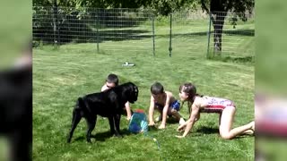 Dog Has A Blast With Sprinkler Toy