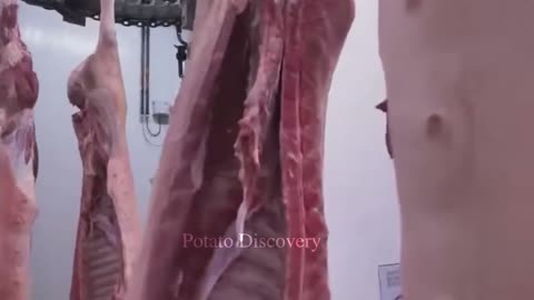 Smart Pig Transport, Breeding and Breeding Technology - Automatic Dissecting Processing