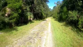 Hiking the Homosassa Florida Hog Pond Trail in Withlacoochee State Park on a hot day