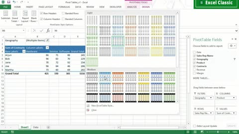 Excel Lesson 24