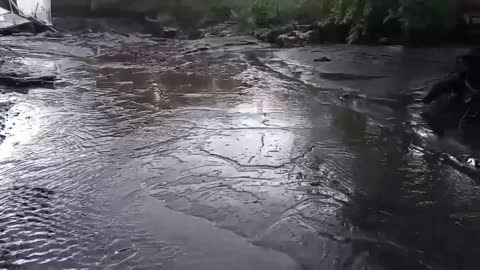 Flash Flood Devastates Home