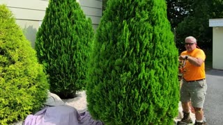 Shrub Trimming Hagerstown Maryland Landscape Company