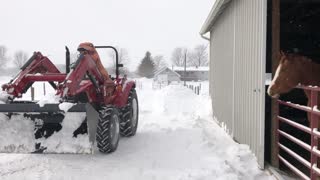 Dino Driver on Snow Duty