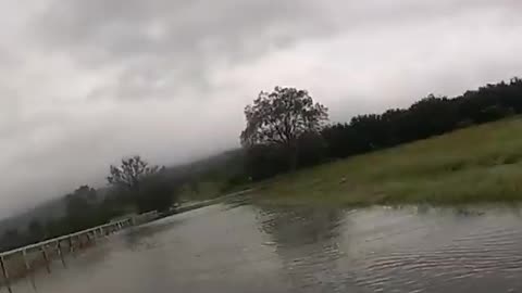 Police rescue men and their dogs from rising floodwaters