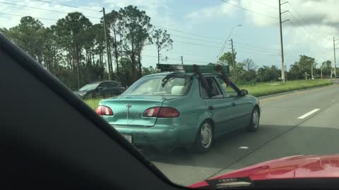 Hilarious Ladder Transportation Method