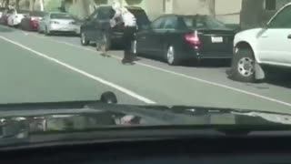 Dog Powered Skateboard Pulled Along Street