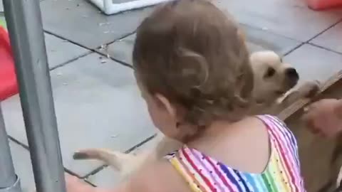 Menina brinca com cãozinho bebê