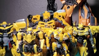 Never mess with bumblebee here's why