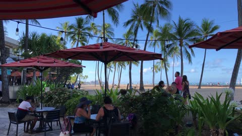 Morning at beach cafe with Hawaiian Music, Hilton Hawaiian Village
