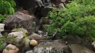 Meijer Gardens waterfall