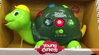 Pull Along Turtle Toy