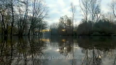 Birds Sound | Relaxing Music | Sweet Dreams Music | Forest Birds Sound | Join Kapil