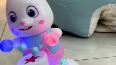 Dog toy with music