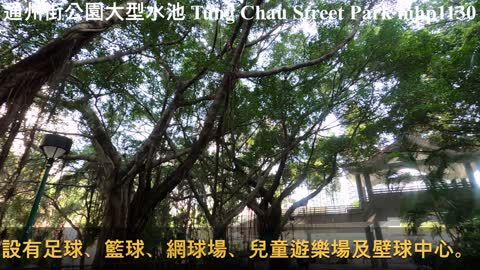 通州街公園。大型水池 Tung Chau Street Park, mhp1130, Feb 2021
