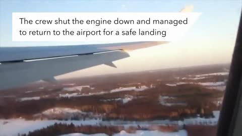 Plane Almost Lands On People