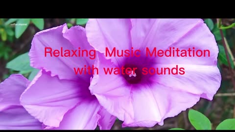 Relaxing Music Relieves Stress-Meditation Music