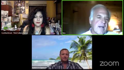 9/16/2021 Interview with Rick & RJ Hassler on EMFs, What they're doing & What we can do about it;...