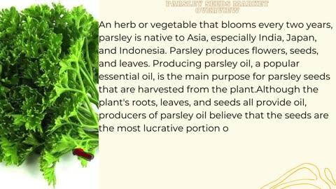 Parsley Seeds Market - Global Industry Analysis, Size, Share, Growth Opportunities, Future Trends