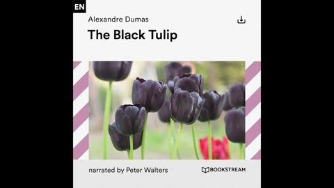 The Black Tulip – Alexandre Dumas (Full Classic Novel Audiobook)