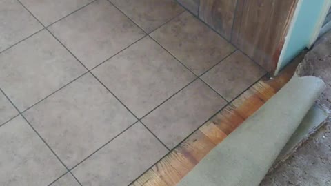 12x12 porcilen floor tile