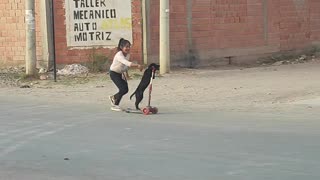 Dog Learns To Ride A Scooter