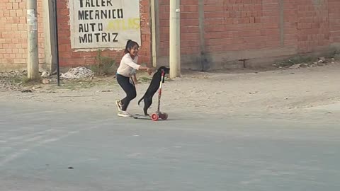 Dog Learns To Ride A Scooter