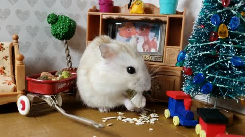 Happy Hamster loves his wagon full of treats | hamster video for kids