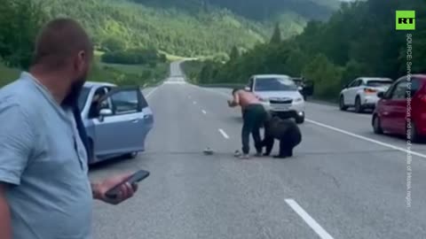 Motorway encounter _ Russians hand-feed wild bear (because why not)