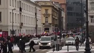 polská demonstrace