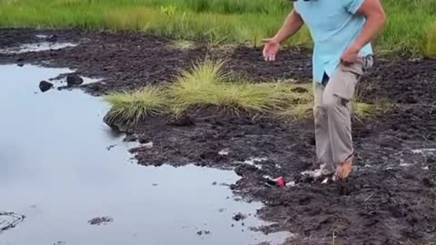 Man walks through the mud and ends up falling into a hole in the water