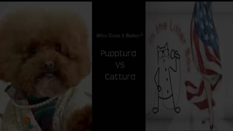 Catturd Sarenade (...to Jewels Jones or Yours Truely, LOL) vs Puppturd