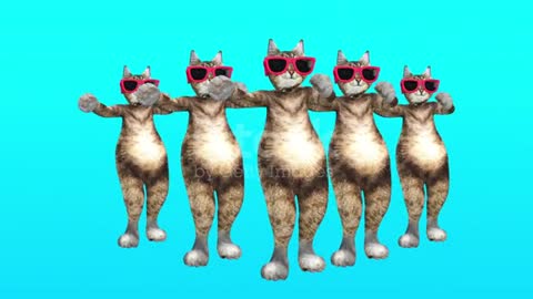 best funny cats dance