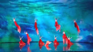 Amazing *koi fish* dance beautifully choreographed...