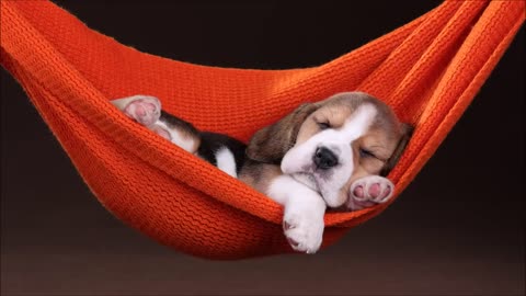 Music to SLEEP and RELAX babies and dogs in 5 MINUTES