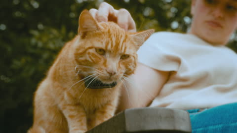 The Cat at the Park | Canon C200