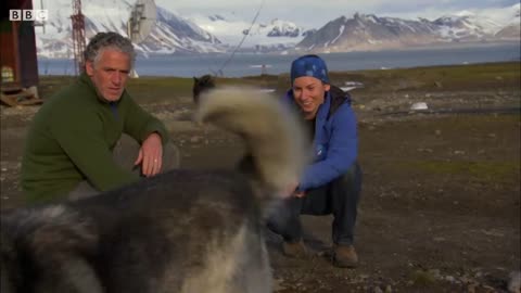 These Dogs Protect Humans from Polar Bears | BBC Earth